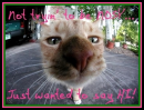 Not Tryin' To Be NOSY! 
