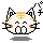 cute cat