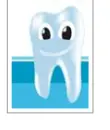 Teeth