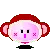 monkey costume