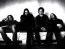 shinedown