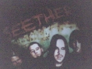 seether