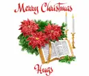 christmas hugs