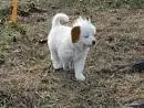 OMG AKAMARU!!!