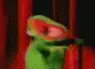 kermit