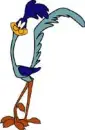 Road Runner