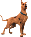 Scooby Doo