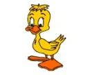 Cartoon Duck