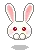 Cute bunny