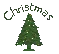 mini Christmas tree
