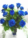 Blue Rose
