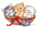 3 in a basket