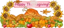 Happy Thanksgiving !