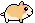 hamster