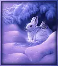 winter bunny