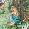 fairy seatdown