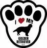  i love my golden retriever