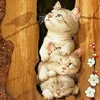 cute cats