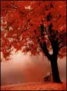 red tree