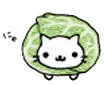 Repollo