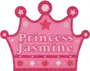 Princess Jasmine