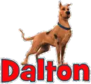 Dalton