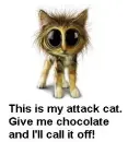 cat