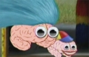 brains