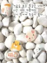 cute painted stones on the beach