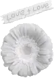love + love white flower