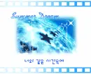 summer dream