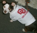 GO SOONERS