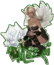 mazni fairy with white rose