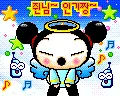 puccA