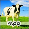 Moo