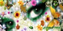 eyes
