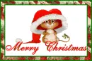merry christmas