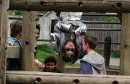 Dennis upside down (martian child)