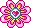 pink flower