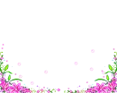 purple flowers