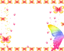 rainbow butterfly