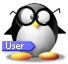 cute penguin