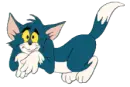 tom and jerry