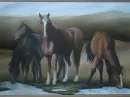 horse