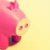Pink pig