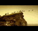 sigur ros