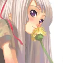 Sunflower Scent