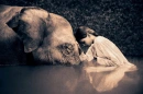 Reverencia 