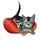 CUTE CAT