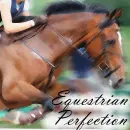 Equestrian Perfection